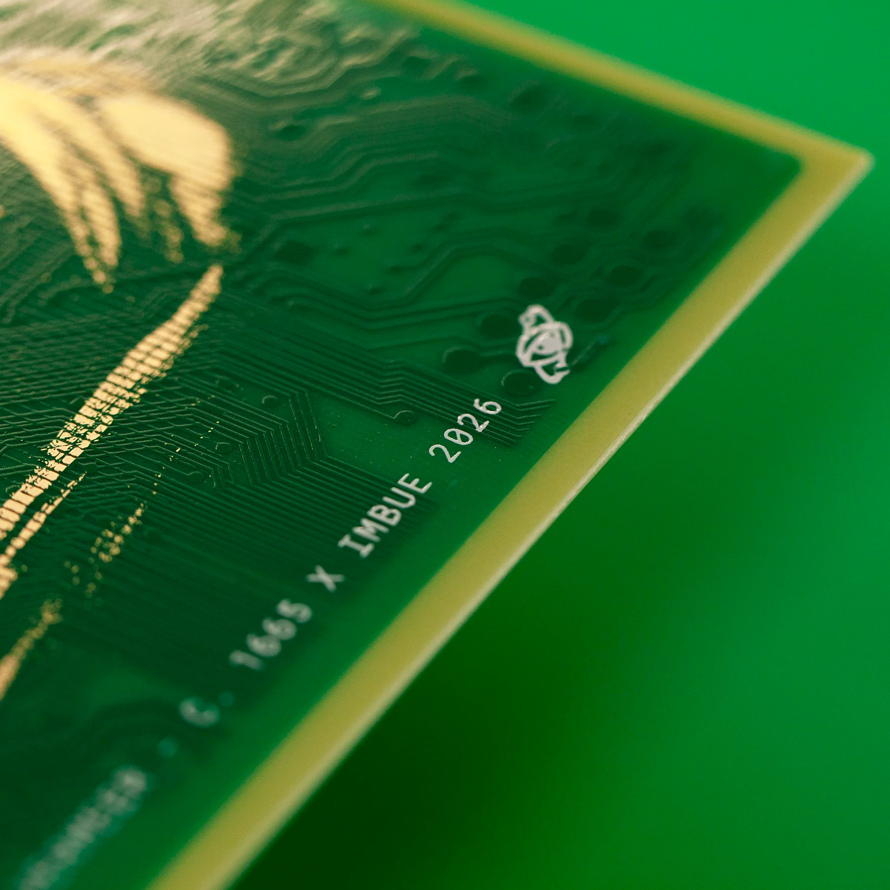 Girl with a PCB - Image 2
