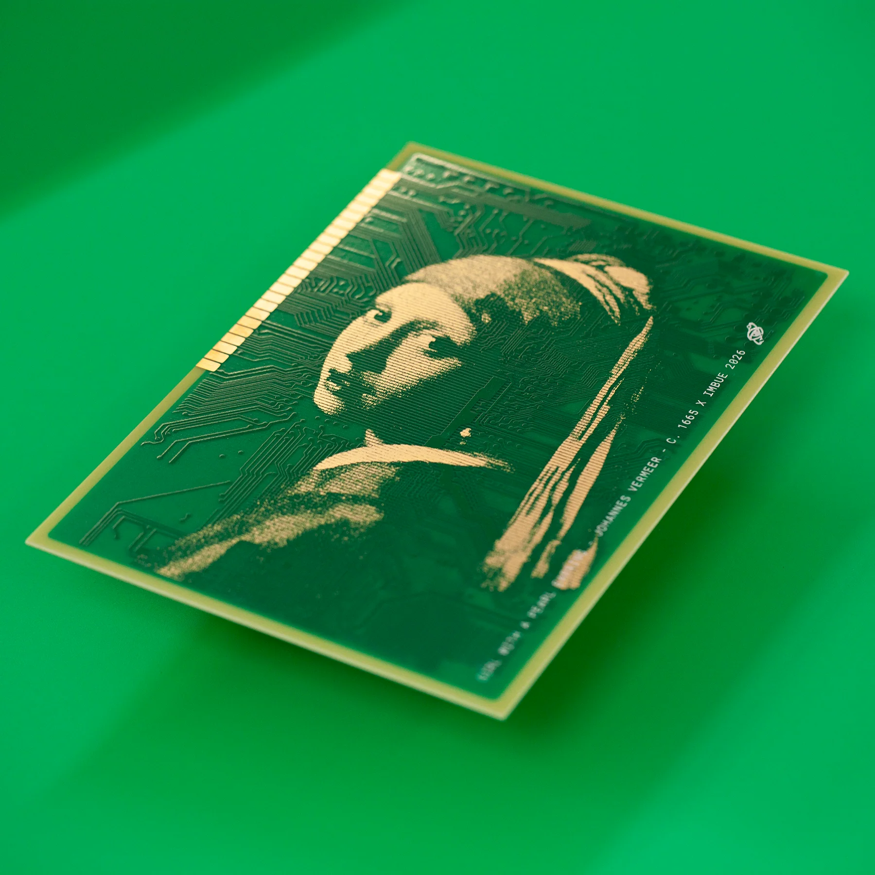 Girl with a PCB - Image 4