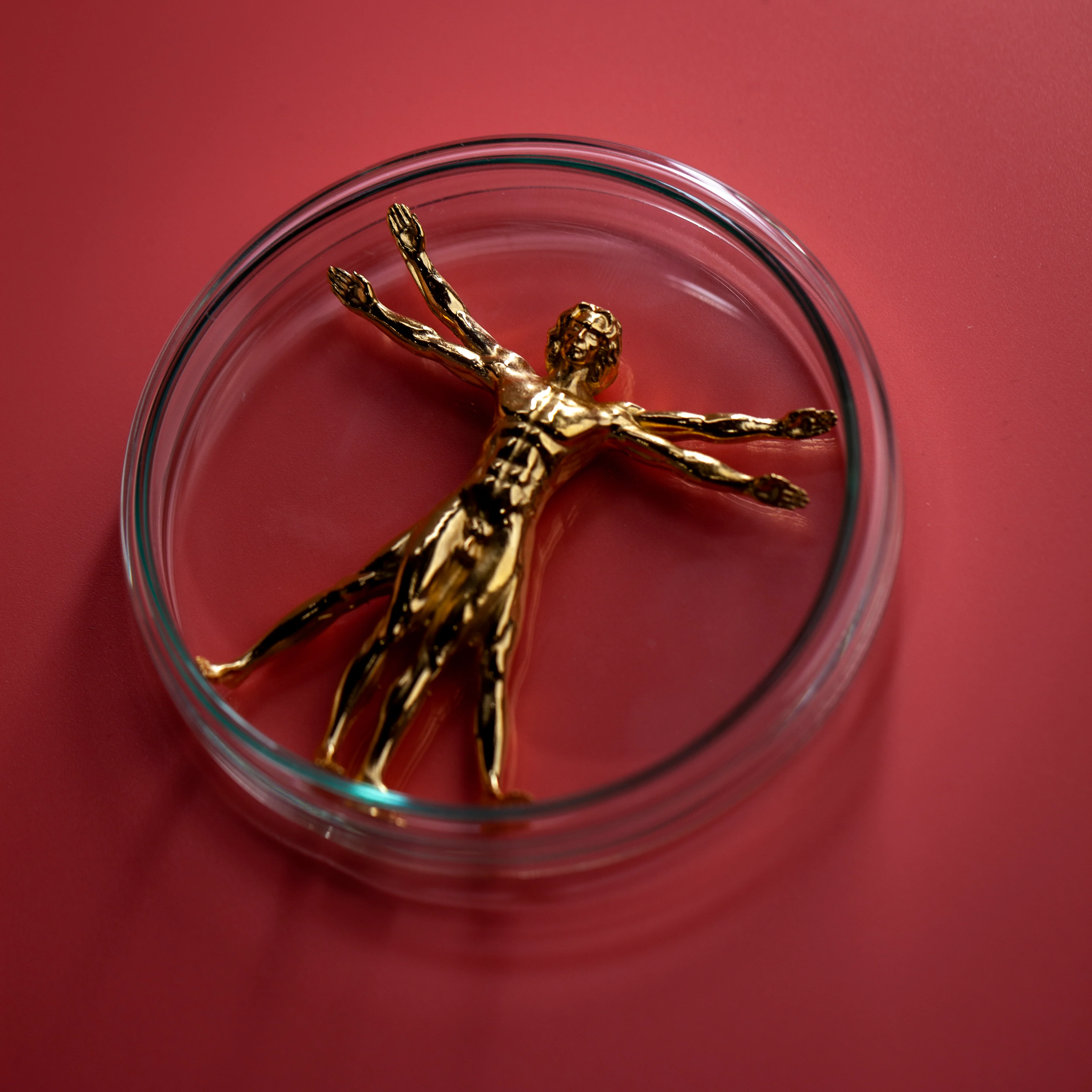 Vitruvian Man (Gold) - Image 4
